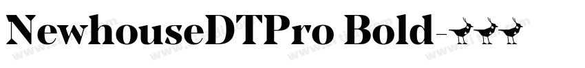 NewhouseDTPro Bold字体转换